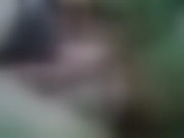 k14ky
