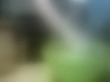 katyagingercat