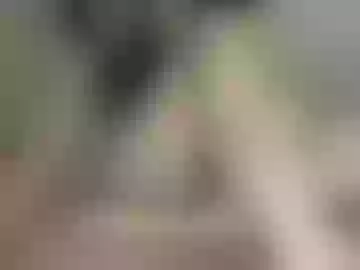 kissik_a