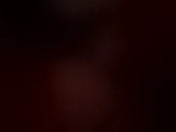 kissmycat