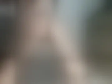 kitty2488
