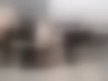 lanasissysub