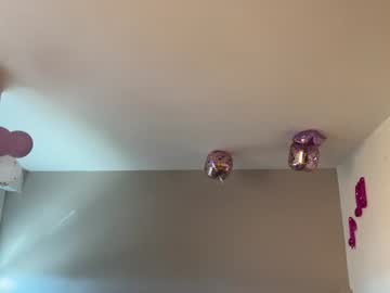 lanimalr