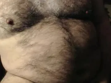 lazycub
