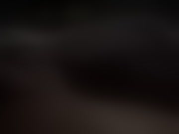 leetchzucc24