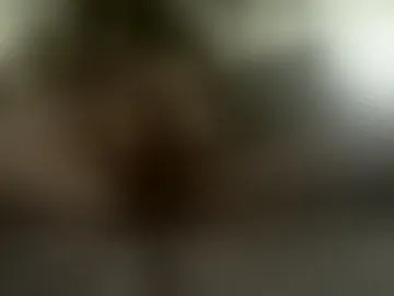 leftpeg03