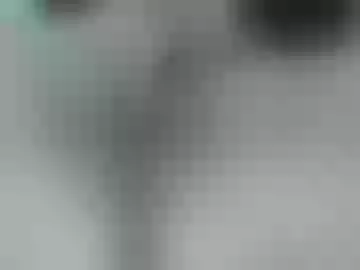 leishasoft1