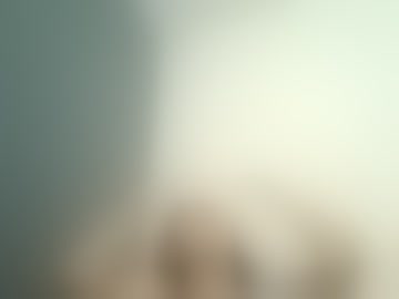 lexy_mm