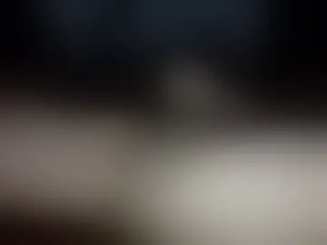 lglglel