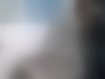 licklbounty