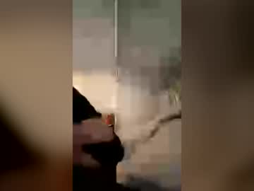 licklilbitch