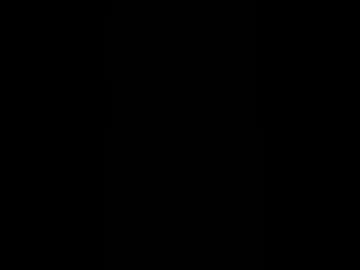 lijua_44
