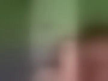 lionbrian73