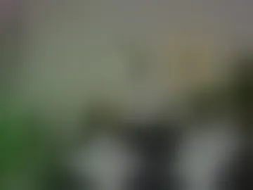 liorah_lio