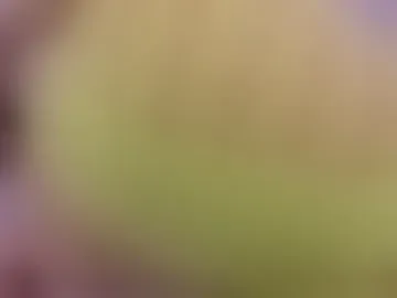 liz_lunna