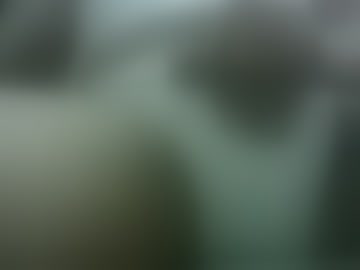 lonelycock33