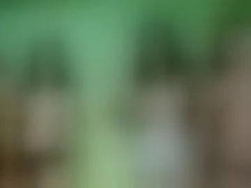 lovely_ladiesx