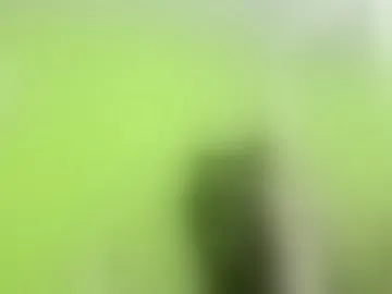 luigi0004