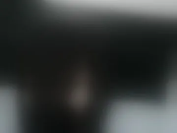 luis000005555