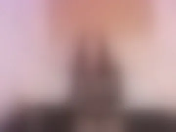 lulirose4