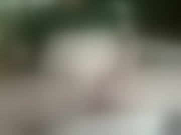luvbigtits271