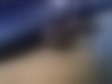 maestro2017