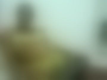 mailyn_er