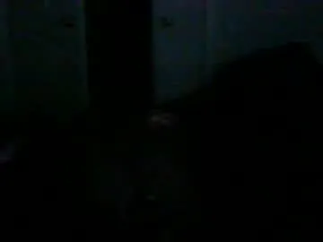 manpntheprowll