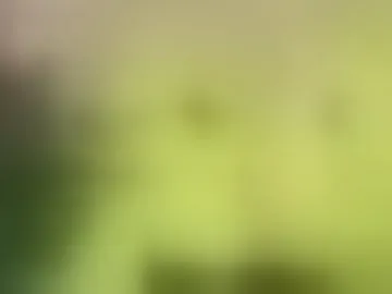 marshdawg