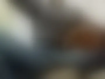 masterdick25cm