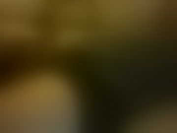 masterofdickception