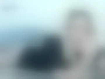 matt_spark