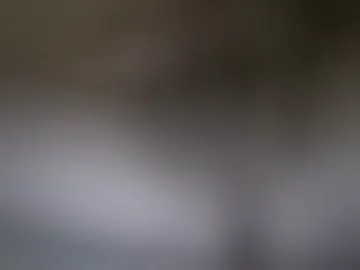 maxmotion