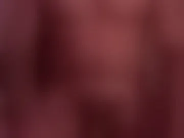 maxrexking