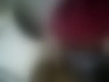 meme_butt