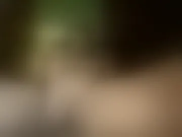 mexicanpapixo