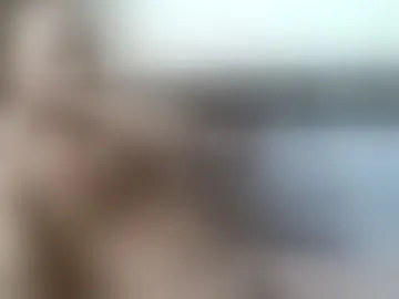 mi_83