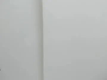 mia_visconti