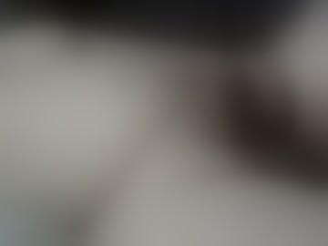 miguelpg360