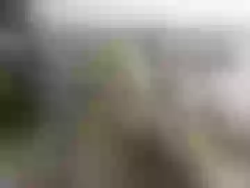 miilu74