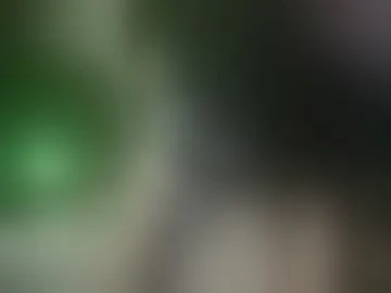 morticiahautasse