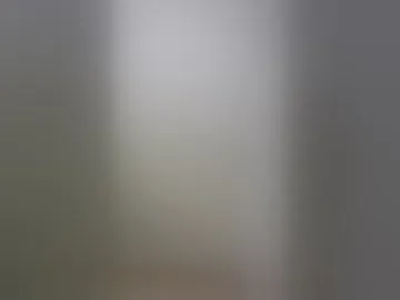mr_momo10