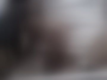 mralptheviking