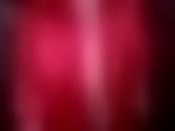 mrperfdick