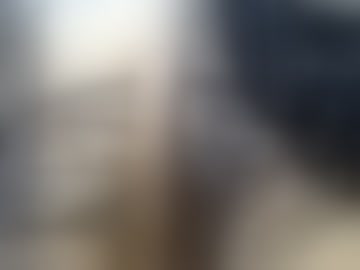 munkeybutt220469