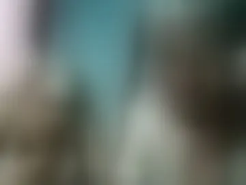 naina208