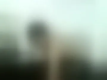 nhicolasmuller