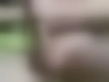 nicecooky2026