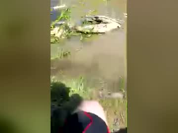 nik_tr