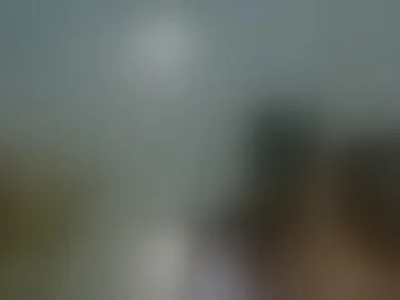 nikkivice